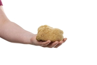 Mořská houba hedvábná -velká nebělená