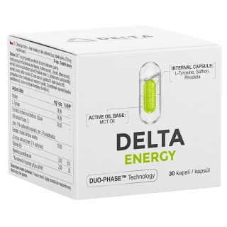 DELTA ENERGY